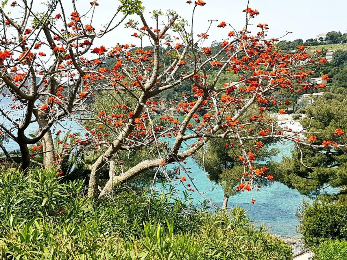 Villa Adriandre Le Le Rayol-Canadel-sur-Mer エクステリア 写真