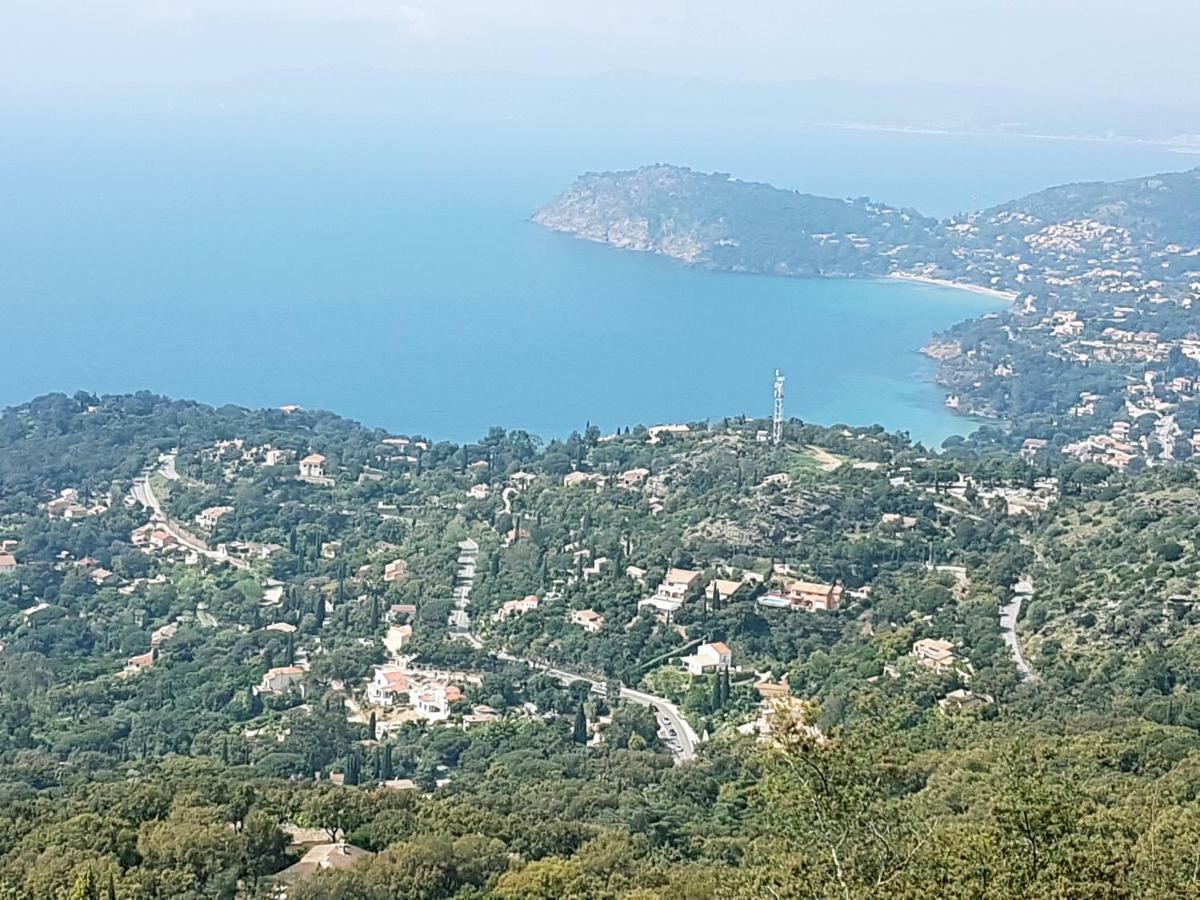 Villa Adriandre Le Le Rayol-Canadel-sur-Mer エクステリア 写真