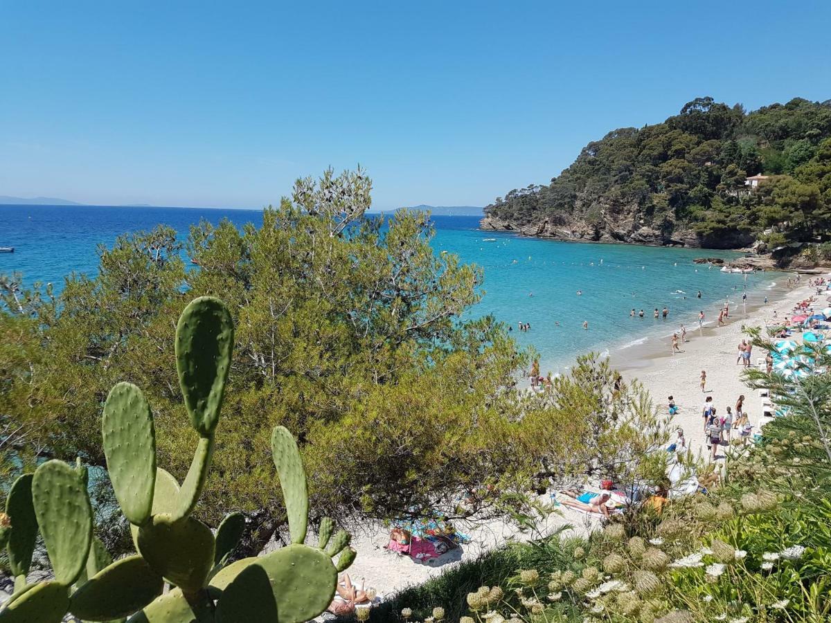 Villa Adriandre Le Le Rayol-Canadel-sur-Mer エクステリア 写真